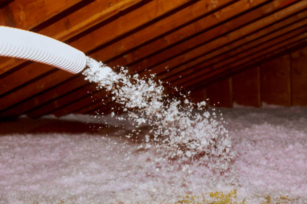 Best Batt and Roll Insulation  in Cortez, FL